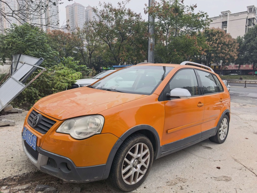 Volkswagen Polo 2010 Volkswagen Polo 2010 car image