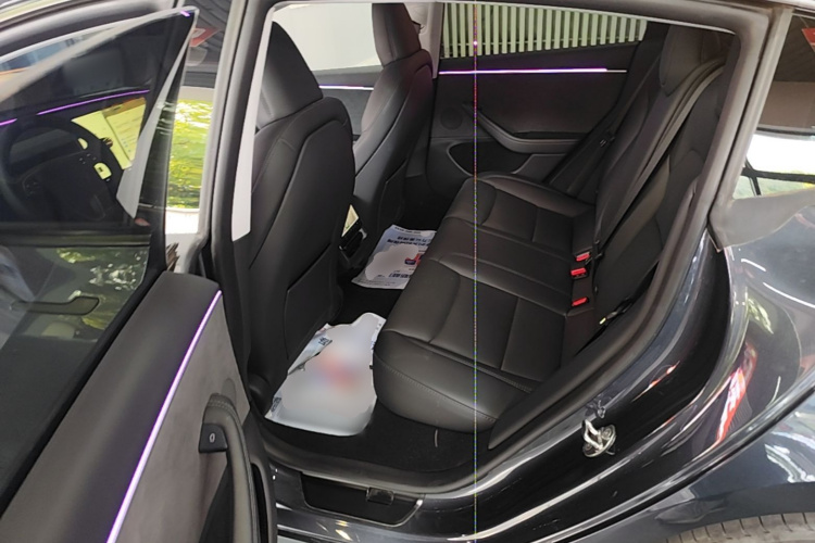 Tesla Model 3 2024 car image #13