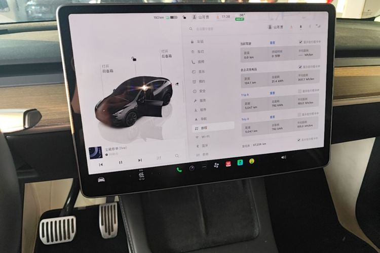 Tesla Model Y 2023 car image #13