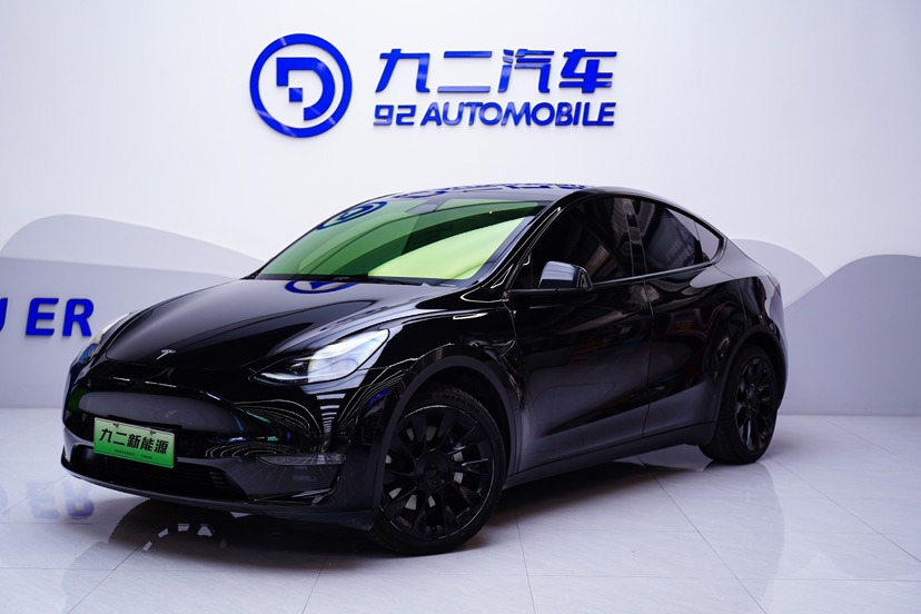 Tesla Model Y 2021 Tesla Model Y 2021 car image