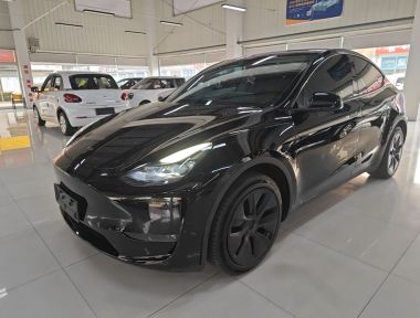 Tesla Model Y 2023 Tesla Model Y 2023 car image