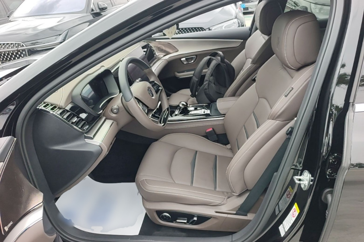 BYD Han 2021 car image #15