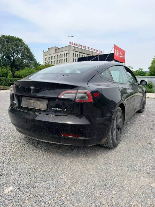 Tesla Model 3 2023 #3 Tesla Model 3 2023 car image #3