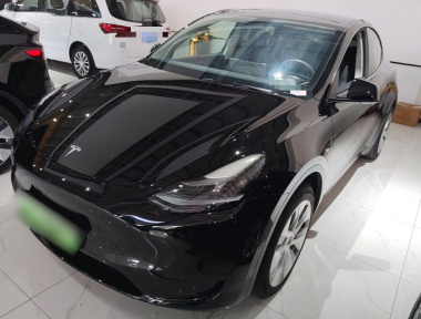 Tesla Model Y 2022 Tesla Model Y 2022 car image