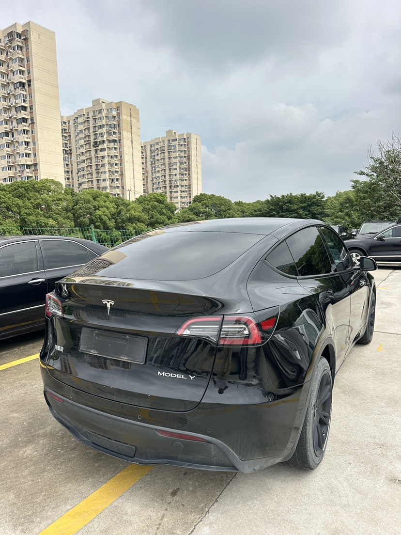 Tesla Model Y 2021 #4 Tesla Model Y 2021 car image #4
