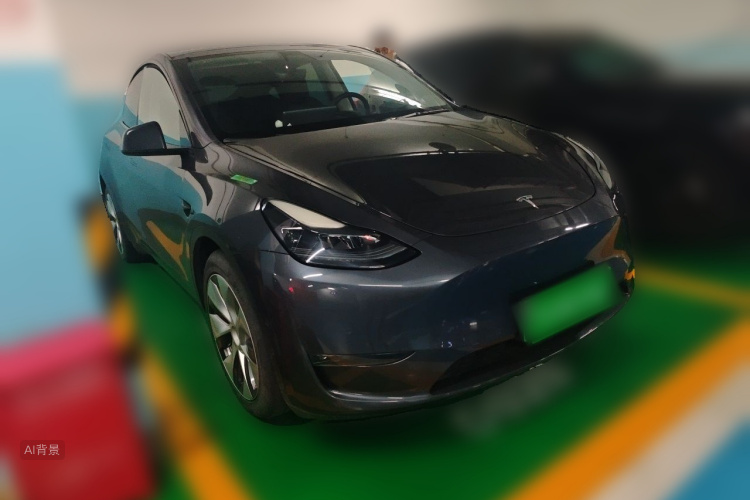Tesla Model Y 2021 car image #4