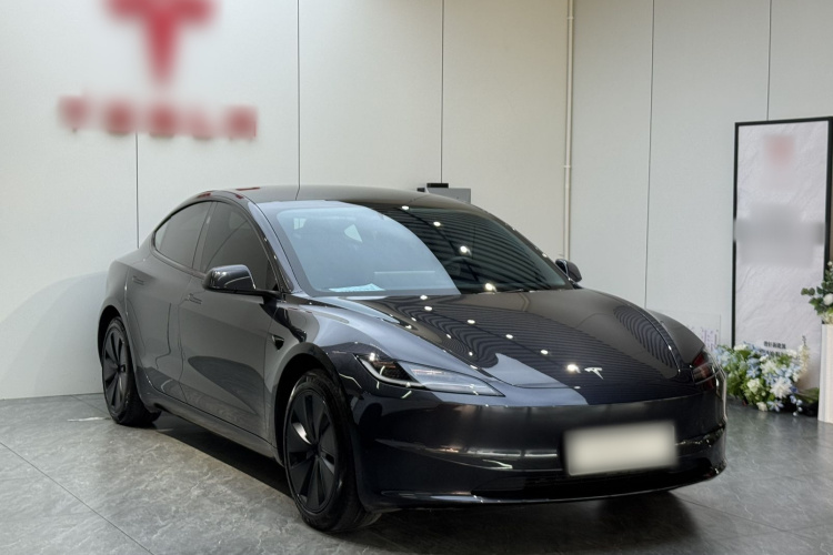 Tesla Model 3 2024 #3 Tesla Model 3 2024 car image #3