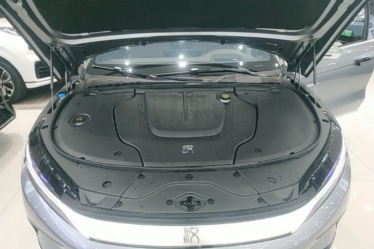 BYD Han 2024 car image #22