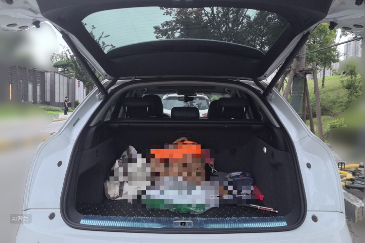 Audi Q3 2019 car image #21