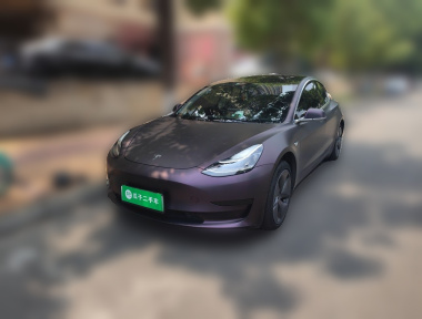 Tesla Model 3 2020 Tesla Model 3 2020 car image