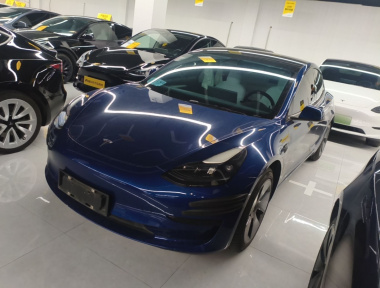 Tesla Model 3 2021 Tesla Model 3 2021 car image