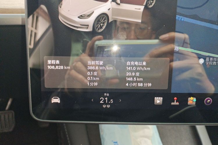 Tesla Model 3 2021 car image #12