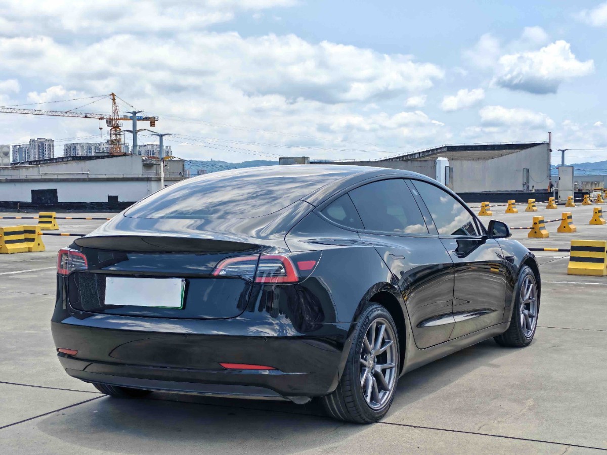 Tesla Model 3 2022 car image #6