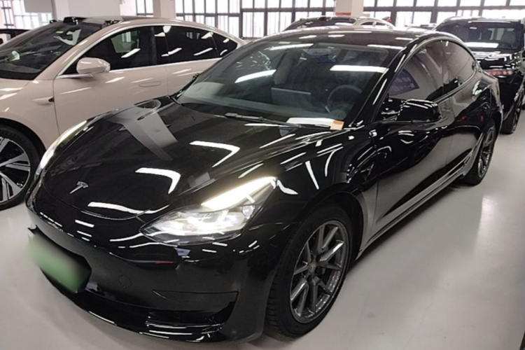 Tesla Model 3 2021 #2 Tesla Model 3 2021 car image #2
