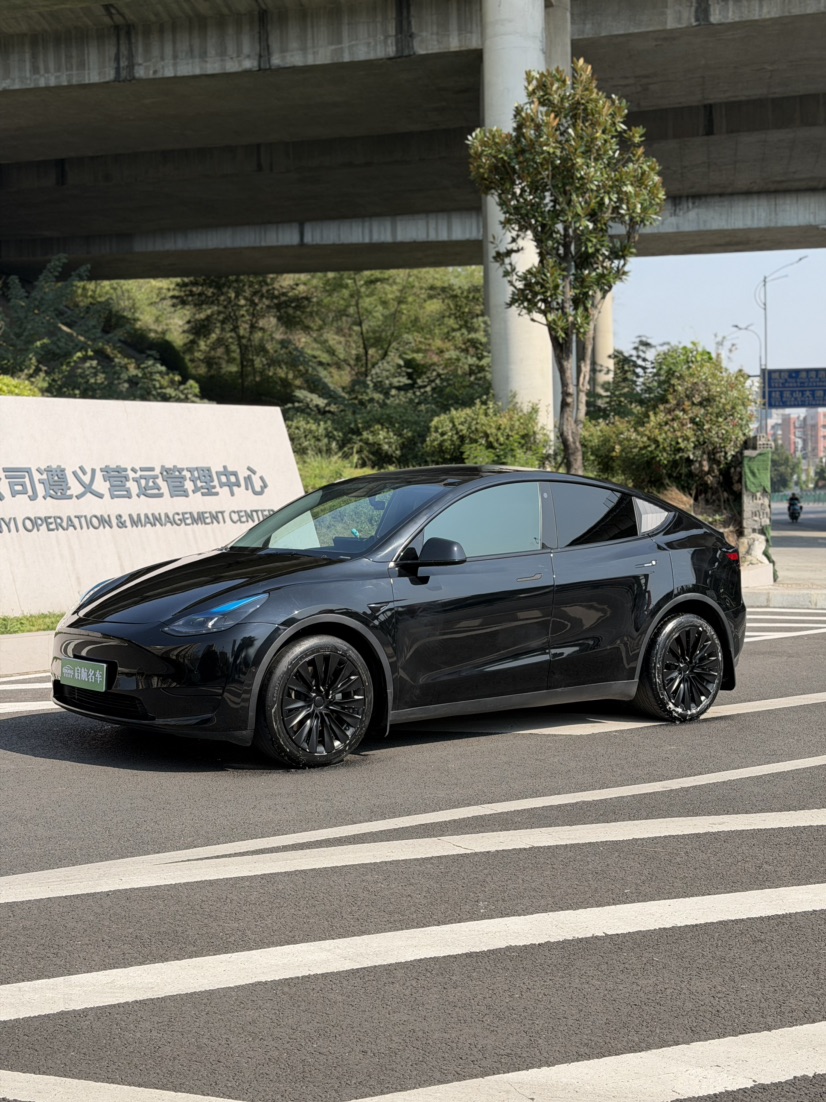 Tesla Model Y 2023 Tesla Model Y 2023 car image