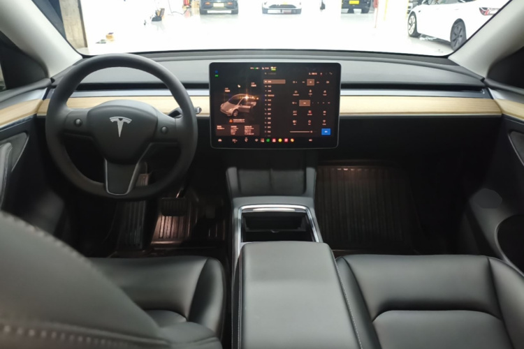 Tesla Model Y 2022 immagine di auto #10