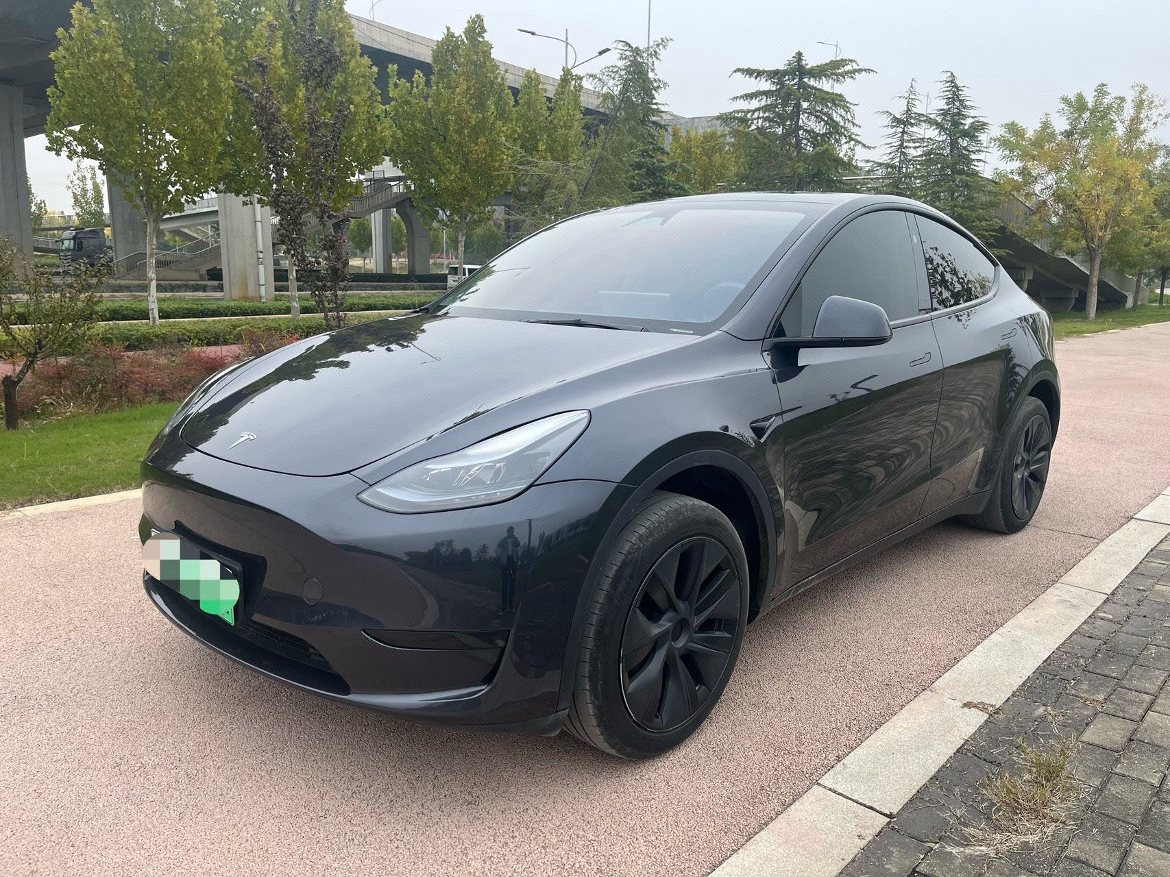 Tesla Model Y 2024 car image 
