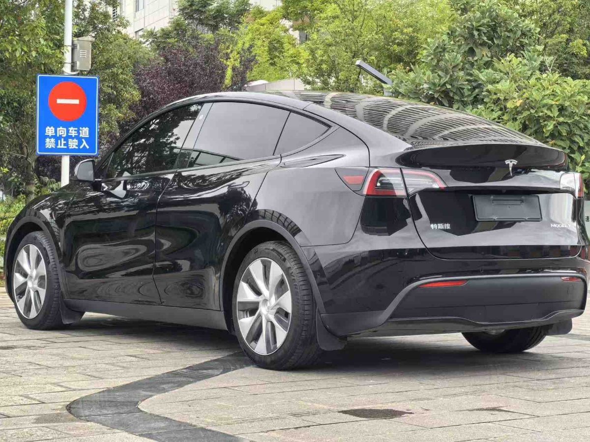 Tesla Model Y 2021 #8 Tesla Model Y 2021 car image #8