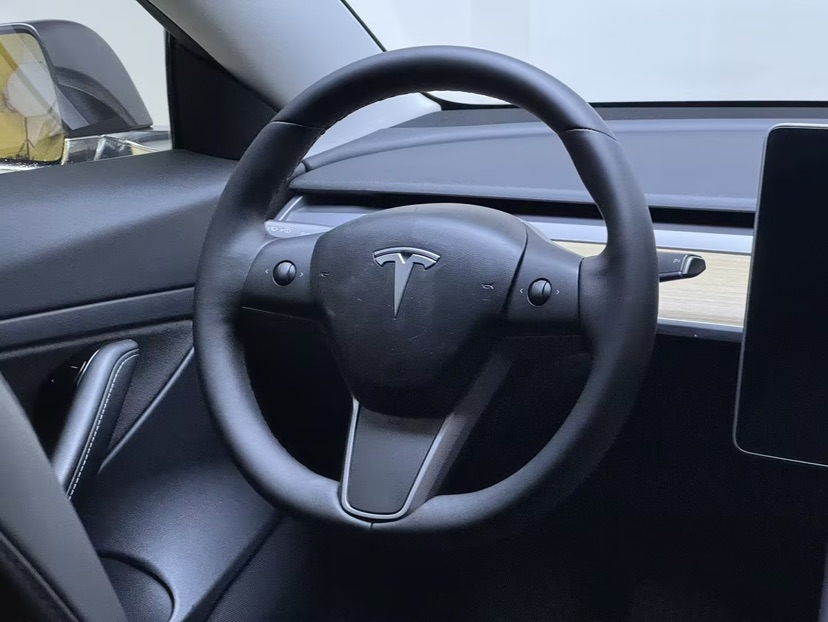 Tesla Model 3 2020 car image #4
