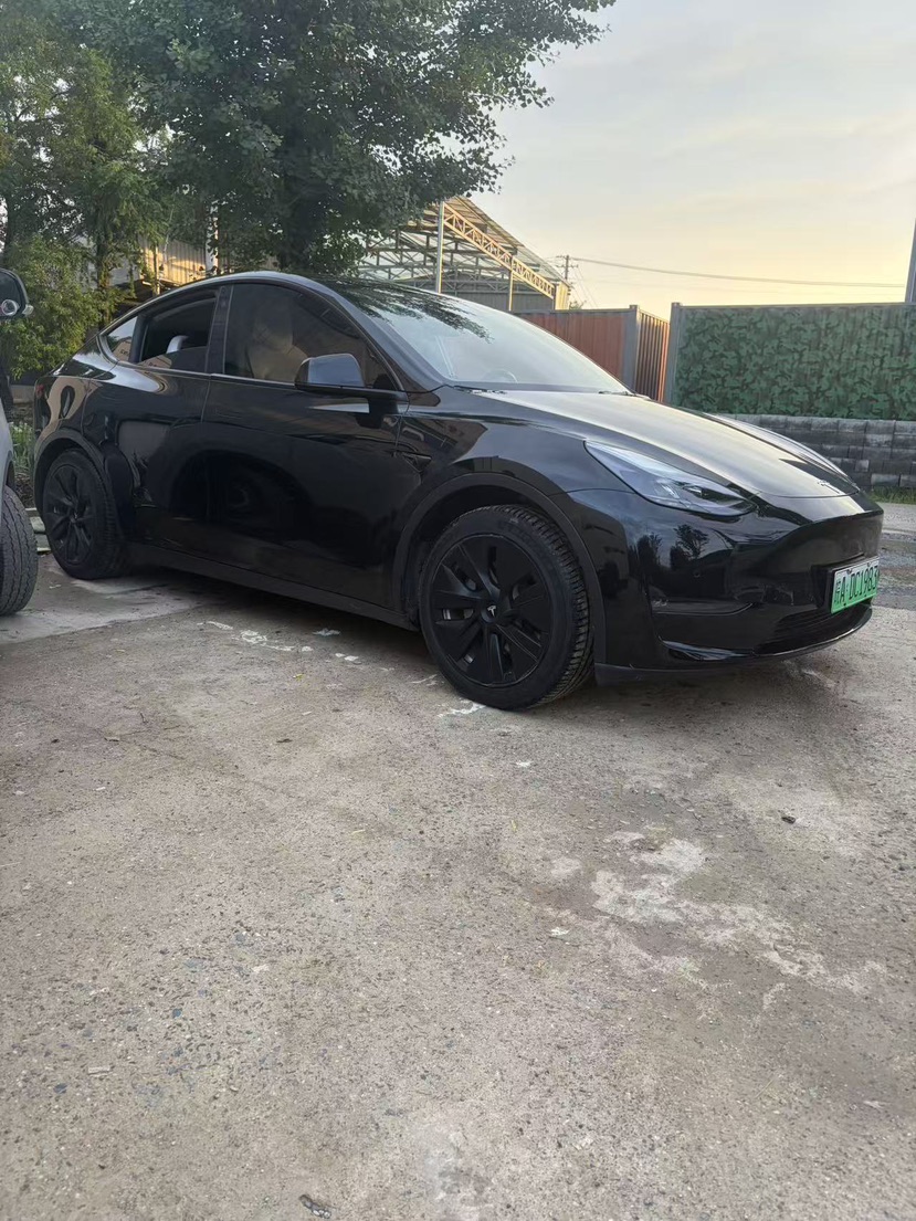 Tesla Model Y 2021 car image #4