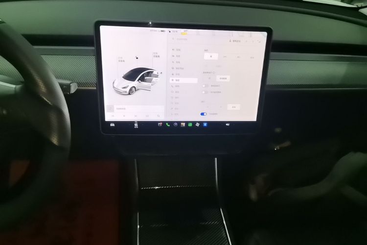 Tesla Model 3 2020 car image #13