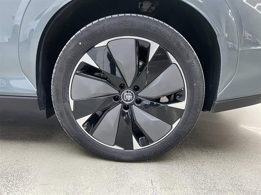 BYD Tang L 2025 #33 BYD Tang L 2025 صورة سيارة #33