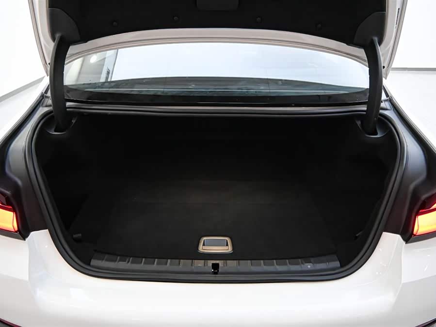 BMW 5 Series New Energy 2022 car image #33