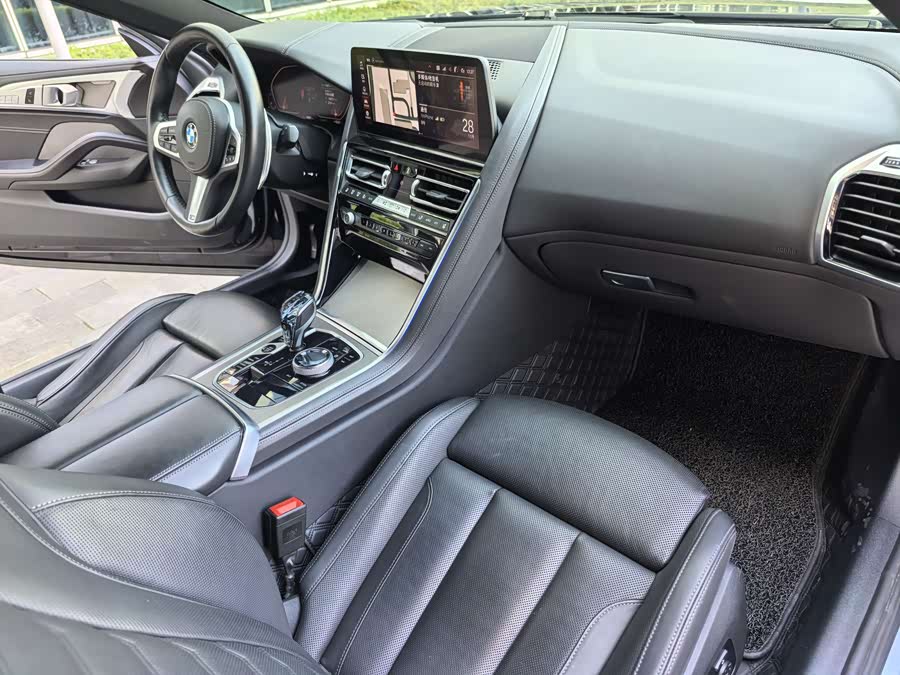 BMW 8 Series 2023 car image #33