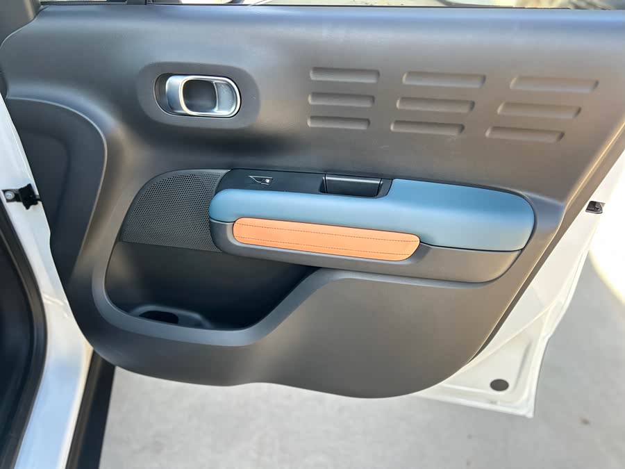 Citroen C4 AIRCROSS 2019 immagine di auto #33