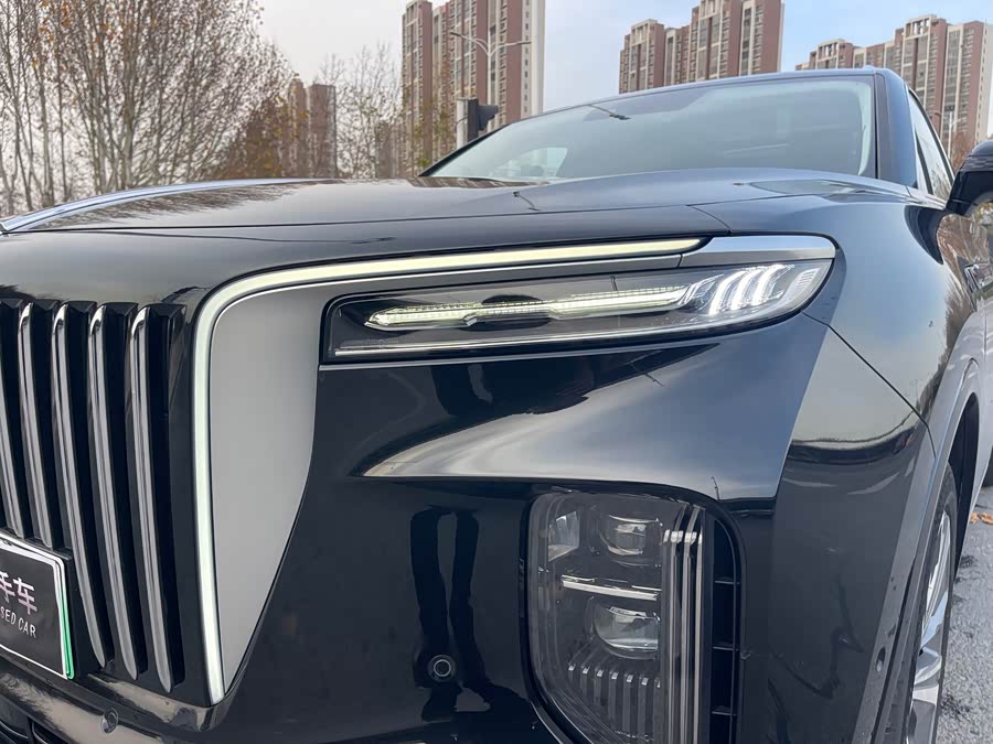 HongQi E-HS9 2023 изображение автомобиля #33