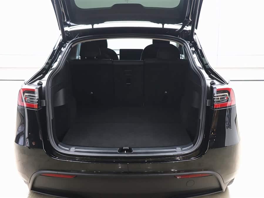 Tesla Model Y 2021 car image #33