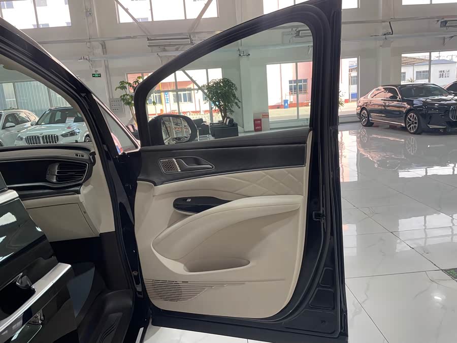 Denza D9 2025 imagen de coche #33