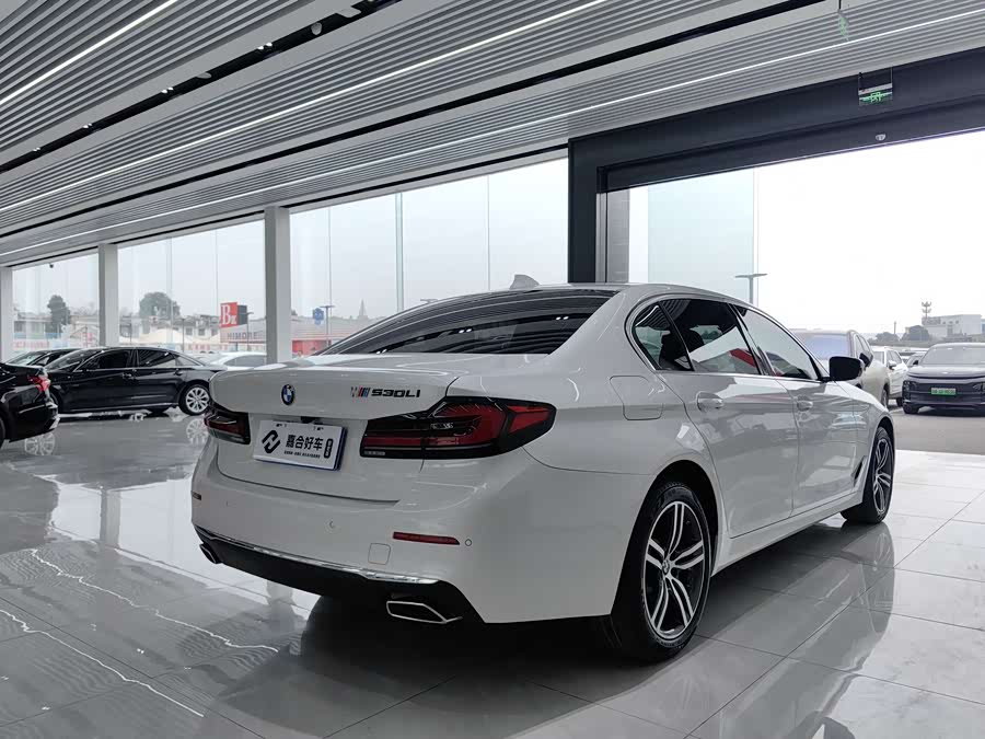 BMW 5 Series 2021 car image #33