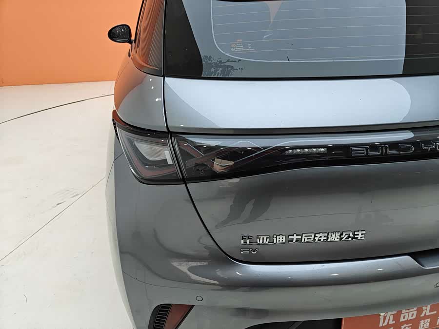 BYD Dolphin 2022 car image #33