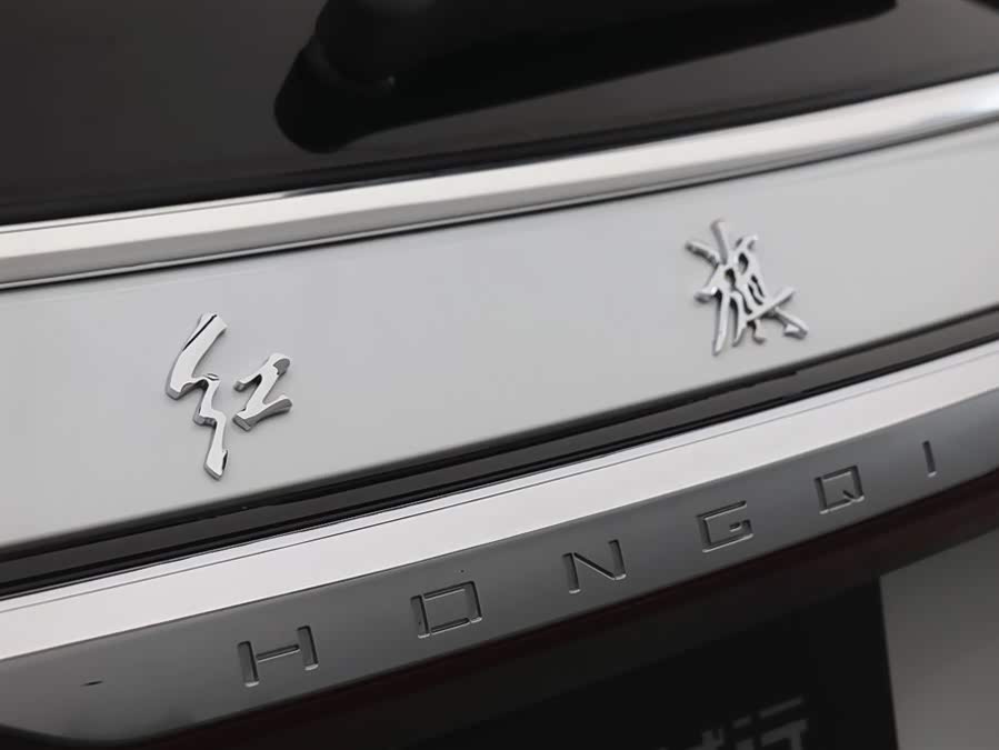 HongQi E-HS9 2023 изображение автомобиля #33