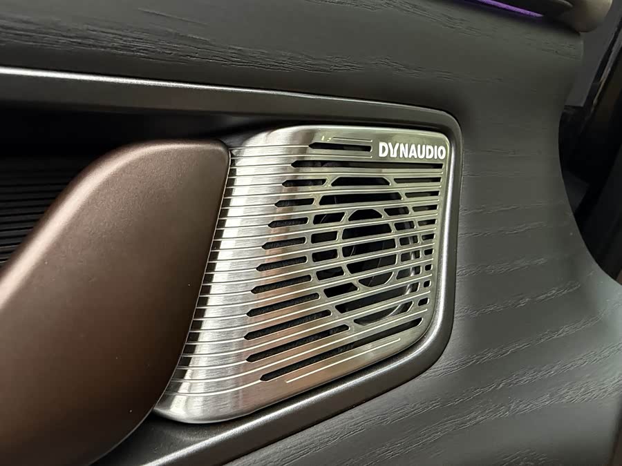 Denza D9 2023 car image #33