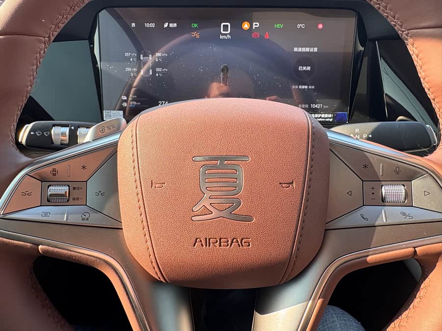 BYD Xia 2024 imagen de coche #33