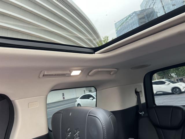 HongQi HQ9 2023 car image #33