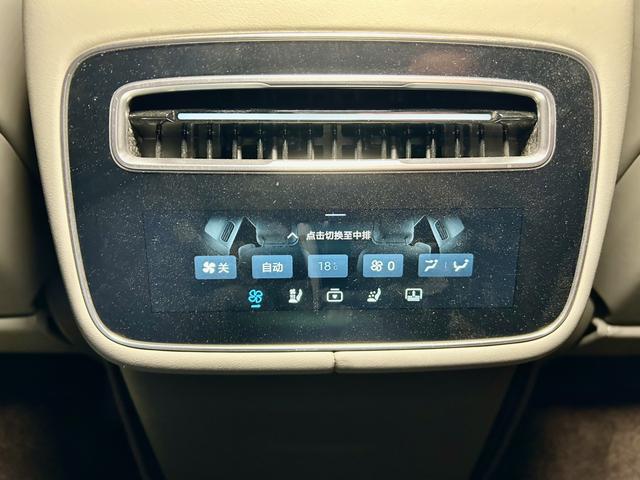 Denza N9 2025 car image #33