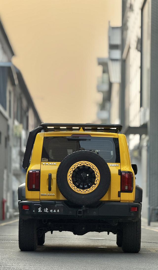 Tank 300 2022 imagen de coche #33