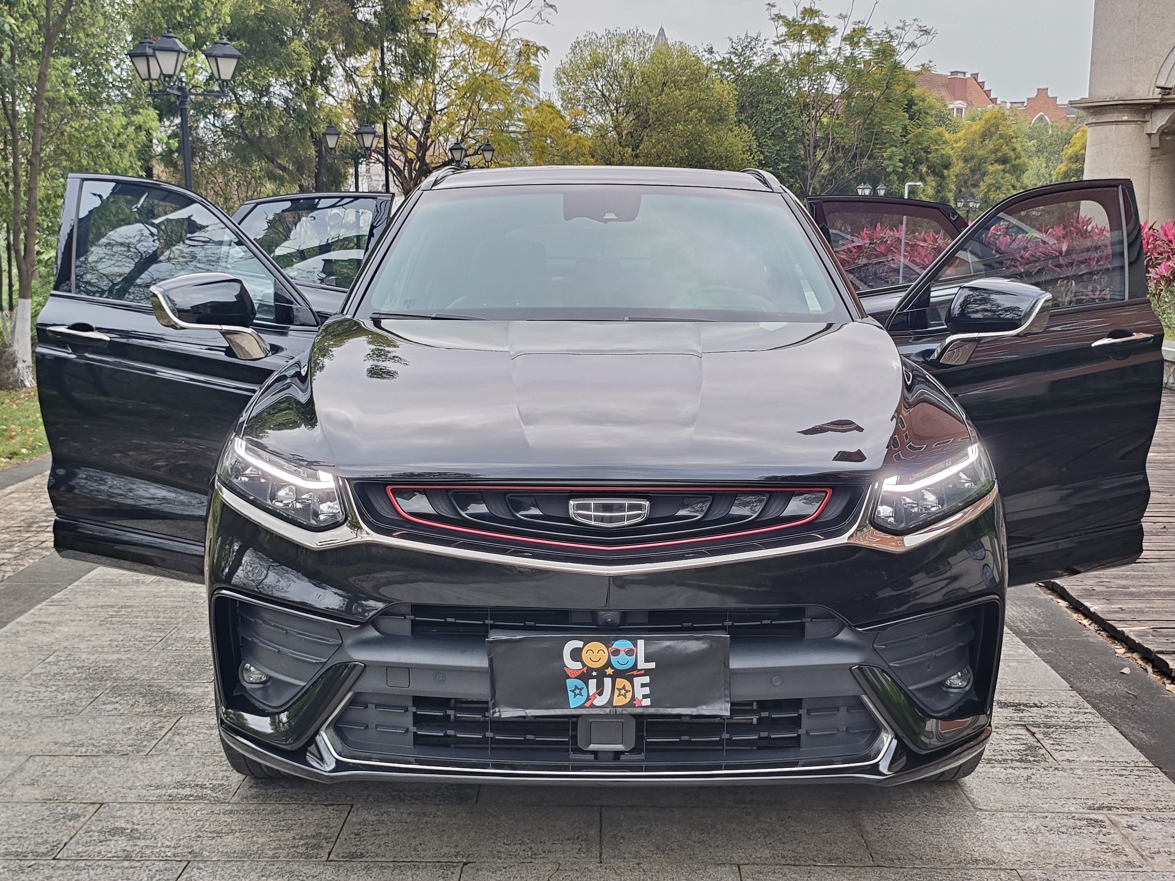 GEELY Tugella 2020 car image #33