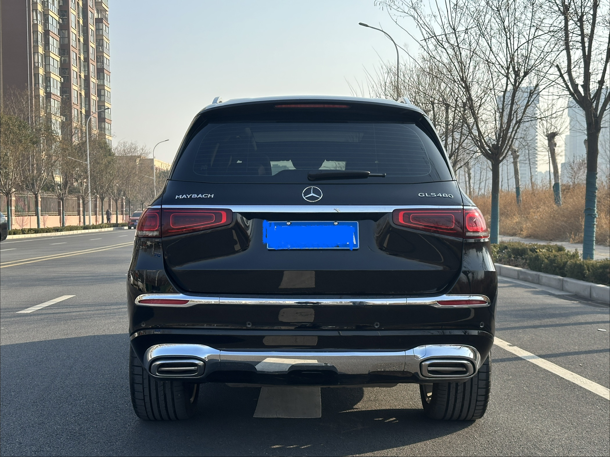 Mercedes-Benz GLS Class 2021 car image #33