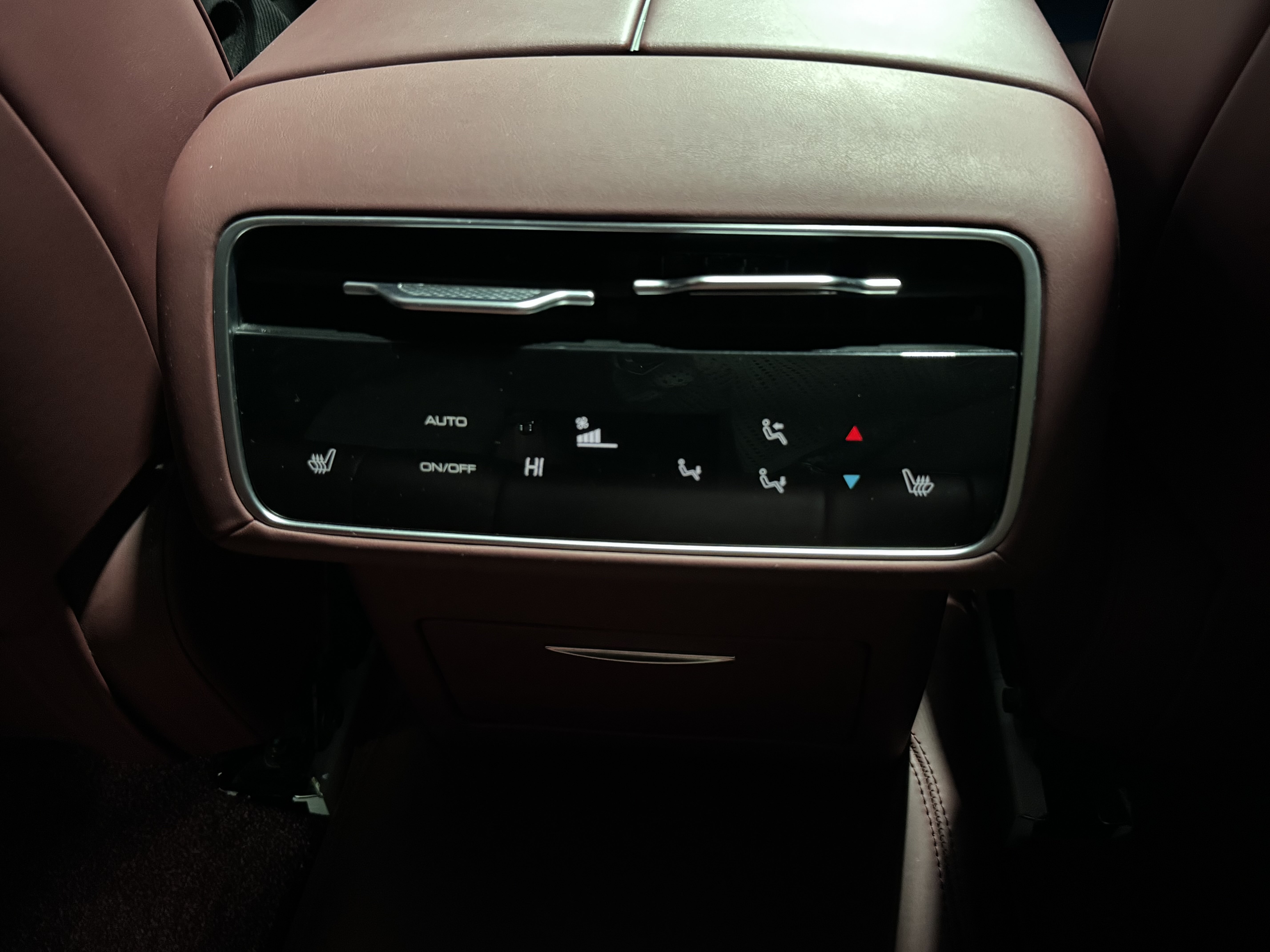 Tank 700 New Energy 2024 immagine di auto #33