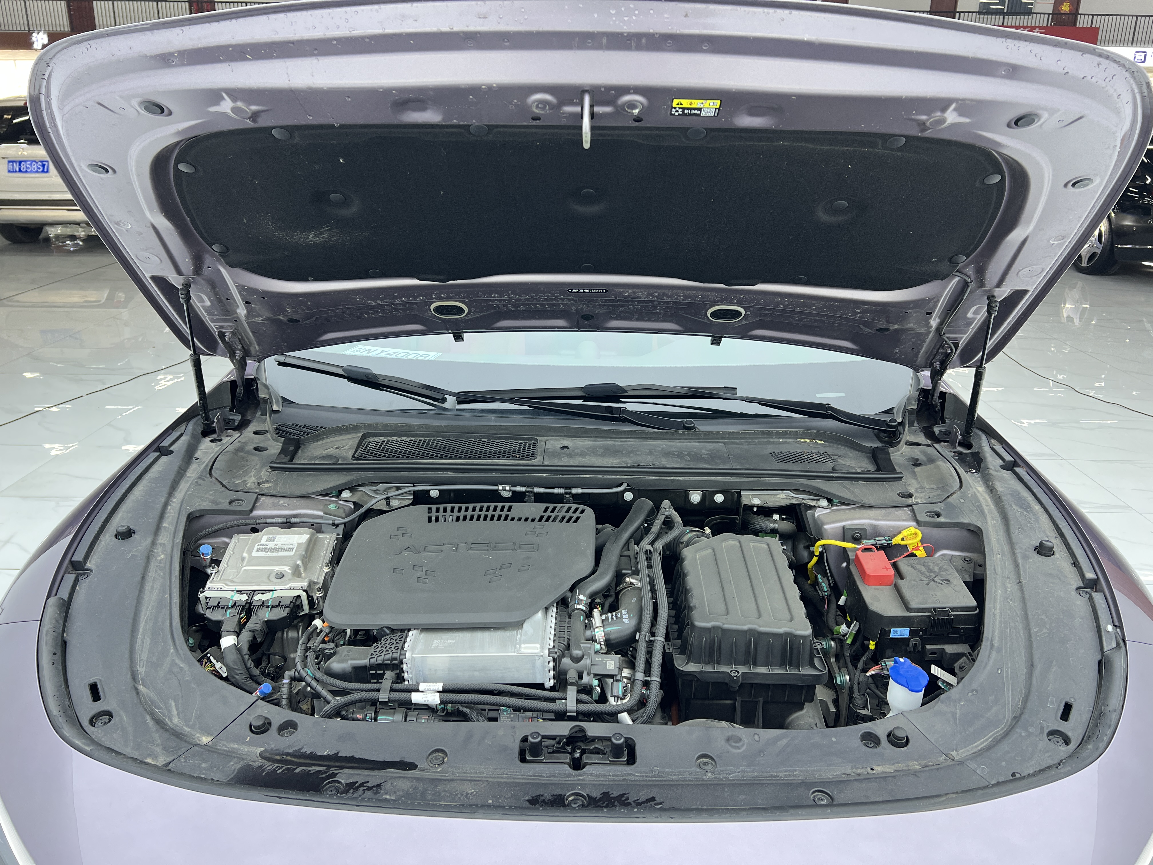 Exceed Stellar Era ES 2025 car image #33