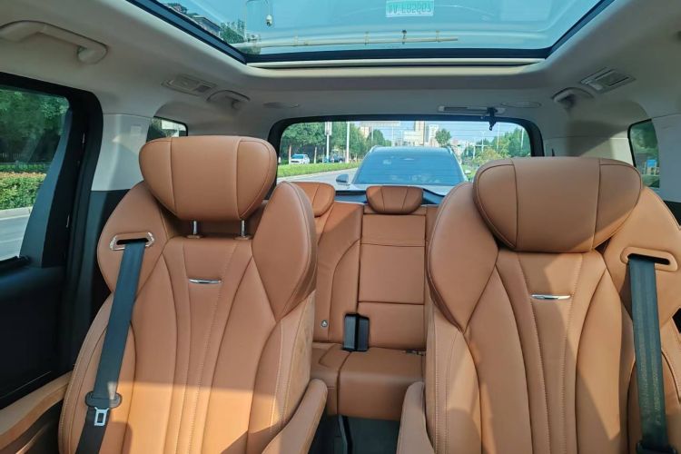 HongQi HQ9 PHEV 2024 immagine di auto #33