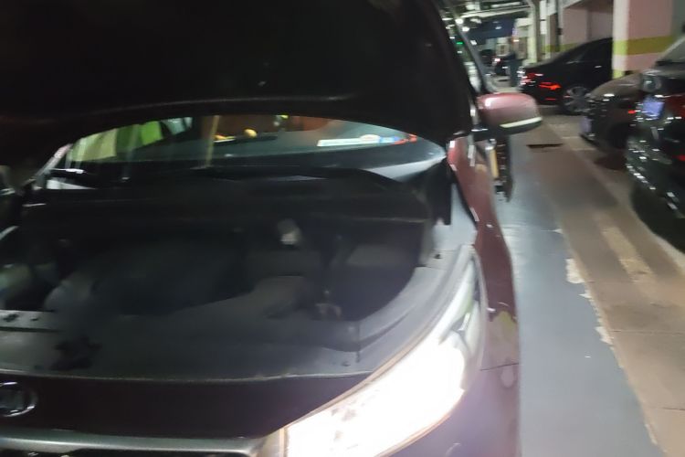 Kia Carnival (Imported) 2016 изображение автомобиля #33