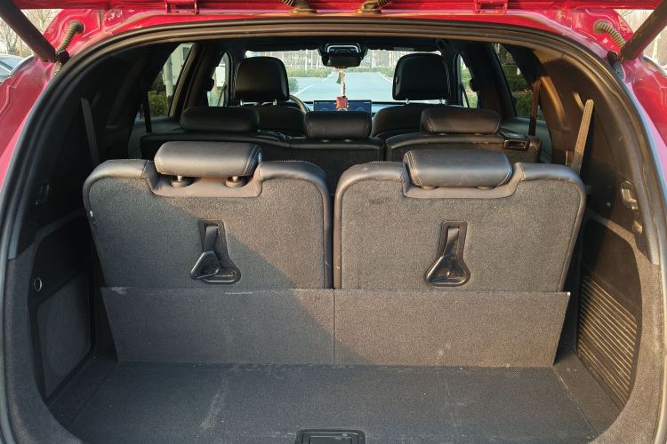 Denza X 2020 #33 Denza X 2020 car image #33