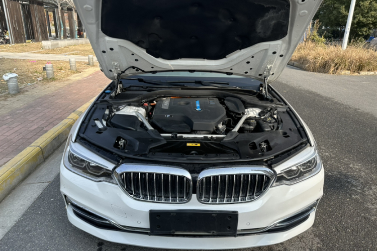 BMW 5 Series New Energy 2020 car image #33