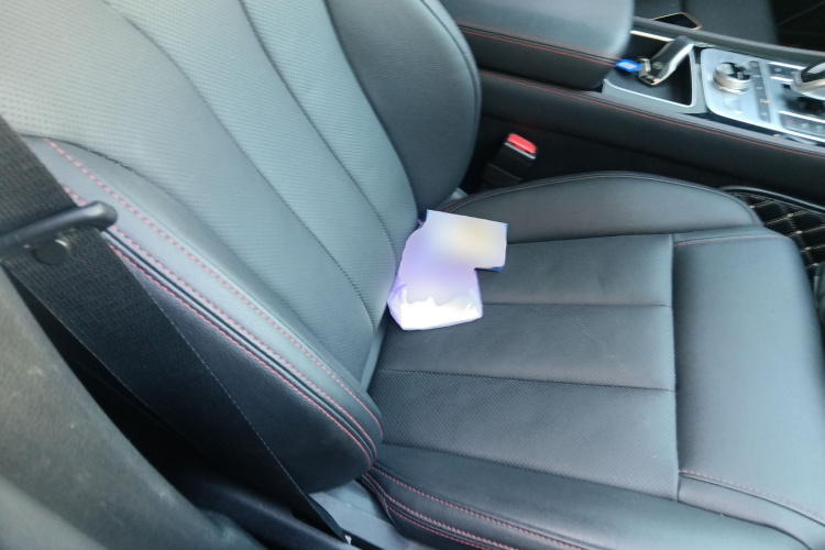 BYD Tang New Energy 2018 #33 BYD Tang New Energy 2018 immagine di auto #33