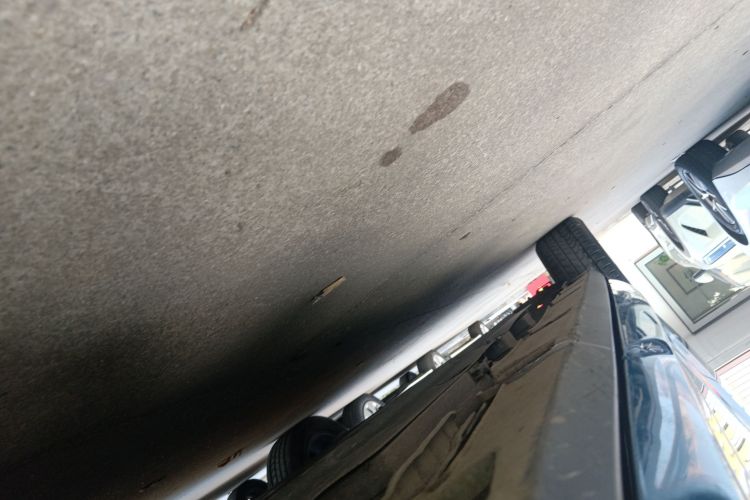 BYD Dolphin 2022 car image #33